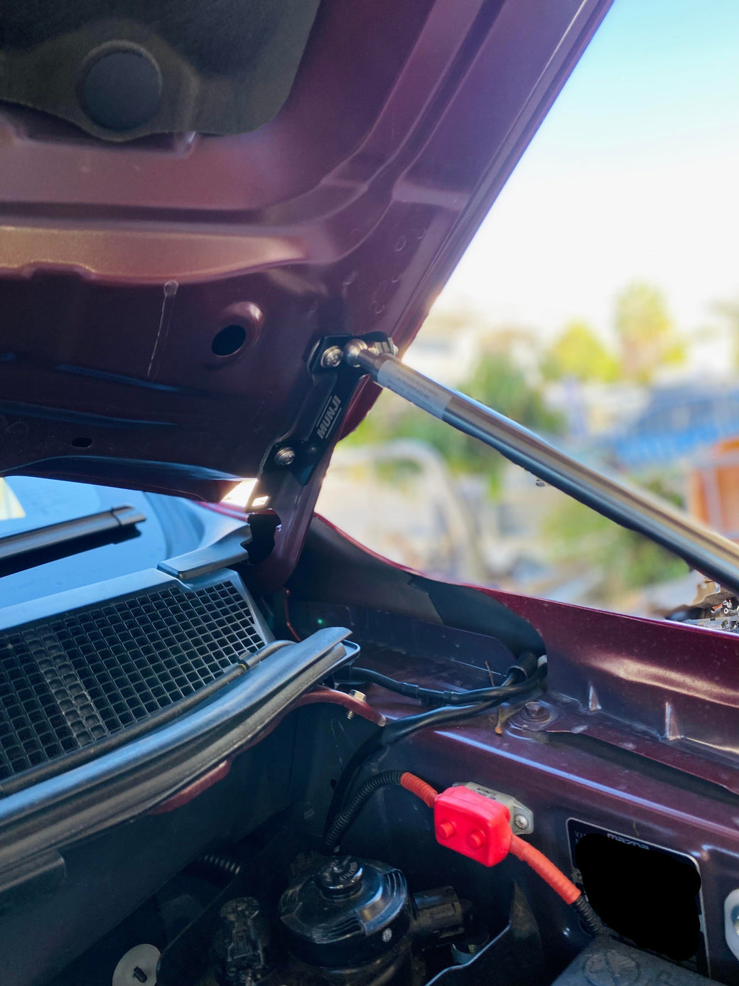 Gas Bonnet Struts (Mazda BT-50 Only 2020 Onwards